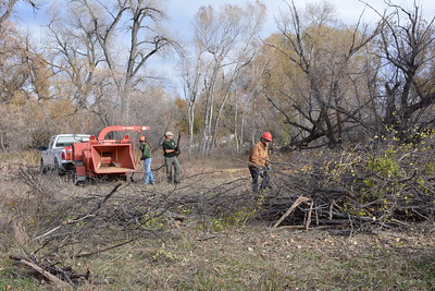 Prescott Tree Service business image in Prescott, AZ